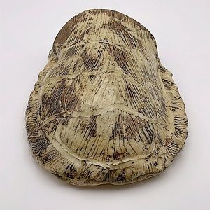 Handmade, pottery, wall pocket in shape of turtle shell, brown/tan. Signed.